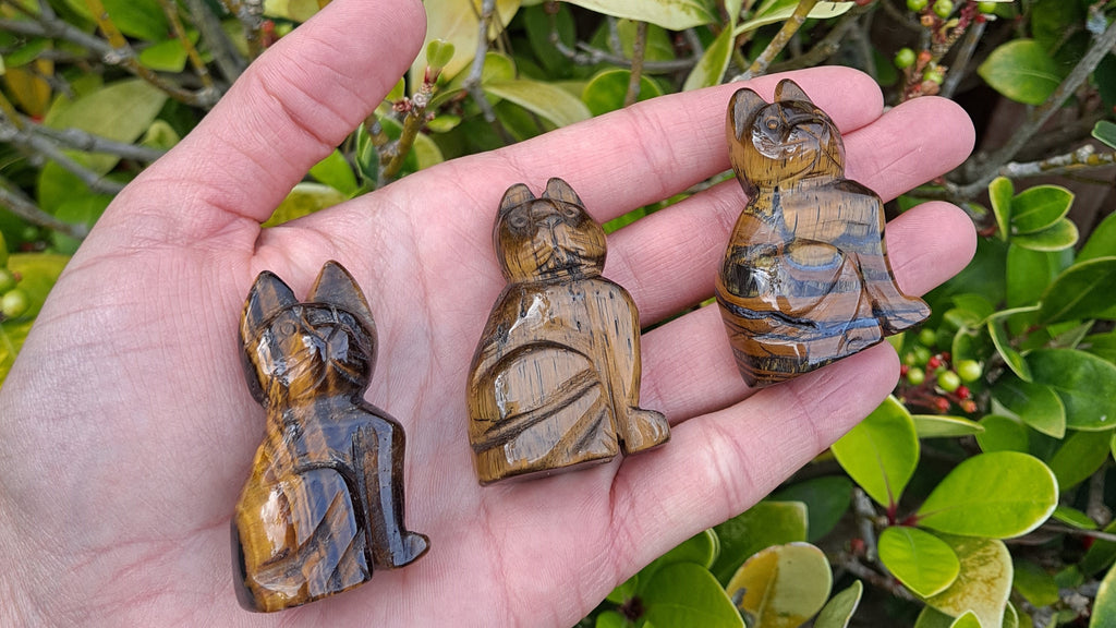 image of tiger's eye cats carvings. this carvings are available at dumi's crystals