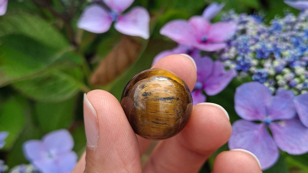 image of a tiger's eye mini sphere. this crystal is available at dumi's crystals
