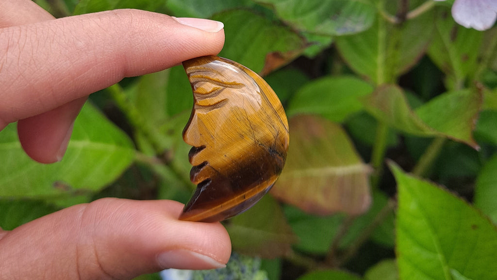 image of a tiger's eye moon face carving. this crystal is available at dumi's crystals