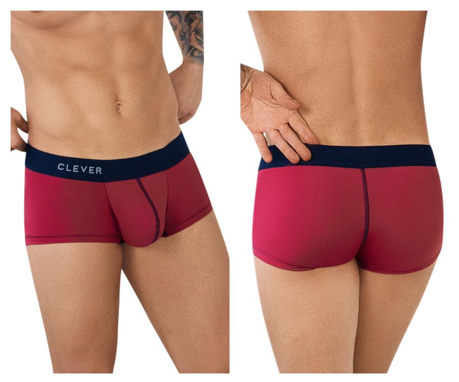 Clever 0949 Line Briefs Color Gray – D.U.A.