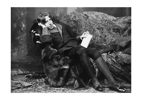 Oscar Wilde, Portrait Fifteen, by Napoleon Sarony, 1882