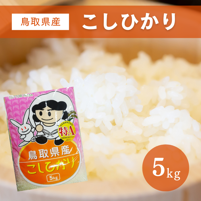鳥取県産米　こしひかり　精米5kg