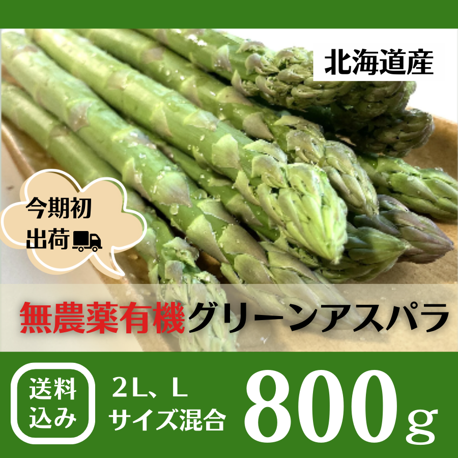 北海道の春の味覚！朝採れ農園直送で栄養たっぷりアスパラ！800g／ハウスもの4月上旬より順次出荷、露地物GWから順次出荷