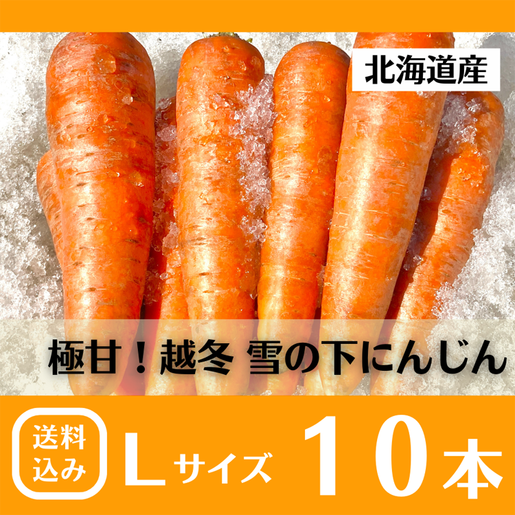 ≪完売御礼≫とにかく甘〜い！北海道特産極甘「雪の下にんじん」Lサイズ10本【送料込み】