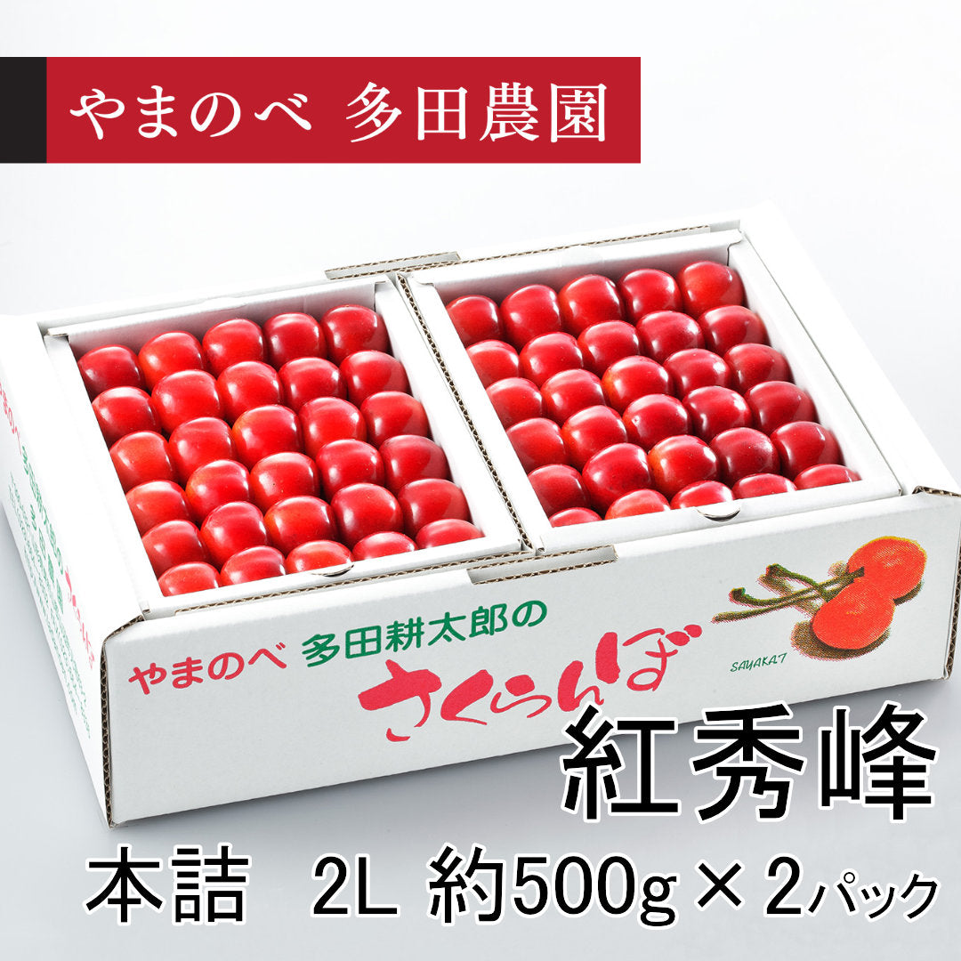 紅秀峰（L～2Lサイズ 本詰）約500g×2パック　先行予約受付中