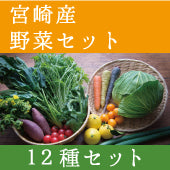 プレミアム野菜セット(12種)(宮崎産)