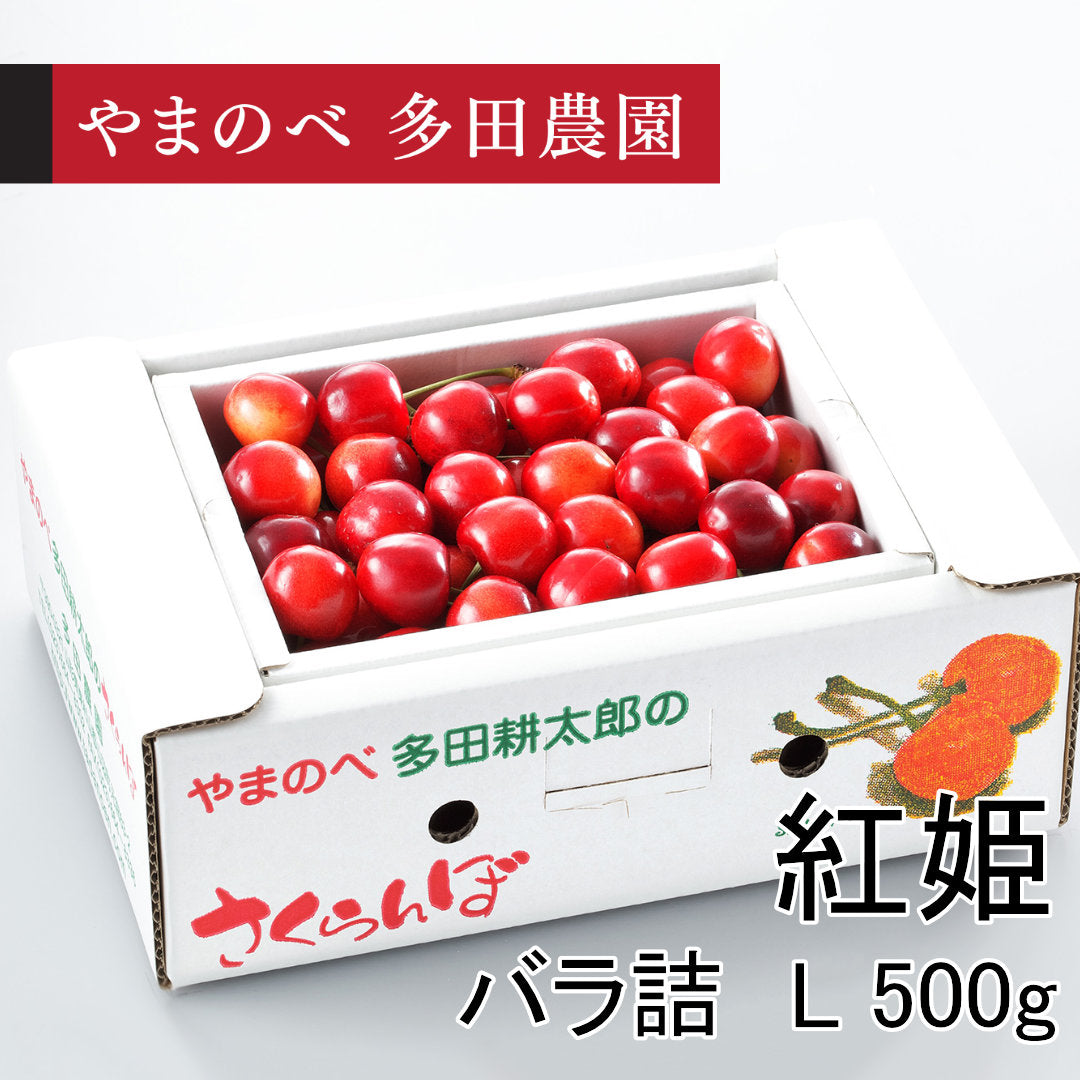 真夏のさくらんぼ「紅姫（べにひめ）」（Lサイズ バラ詰）500g　先行予約受付中【7月20日～8月10日にお届け】