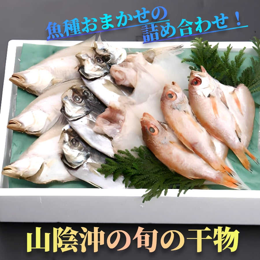 漁師手作り干物【漬魚・魚加工品】