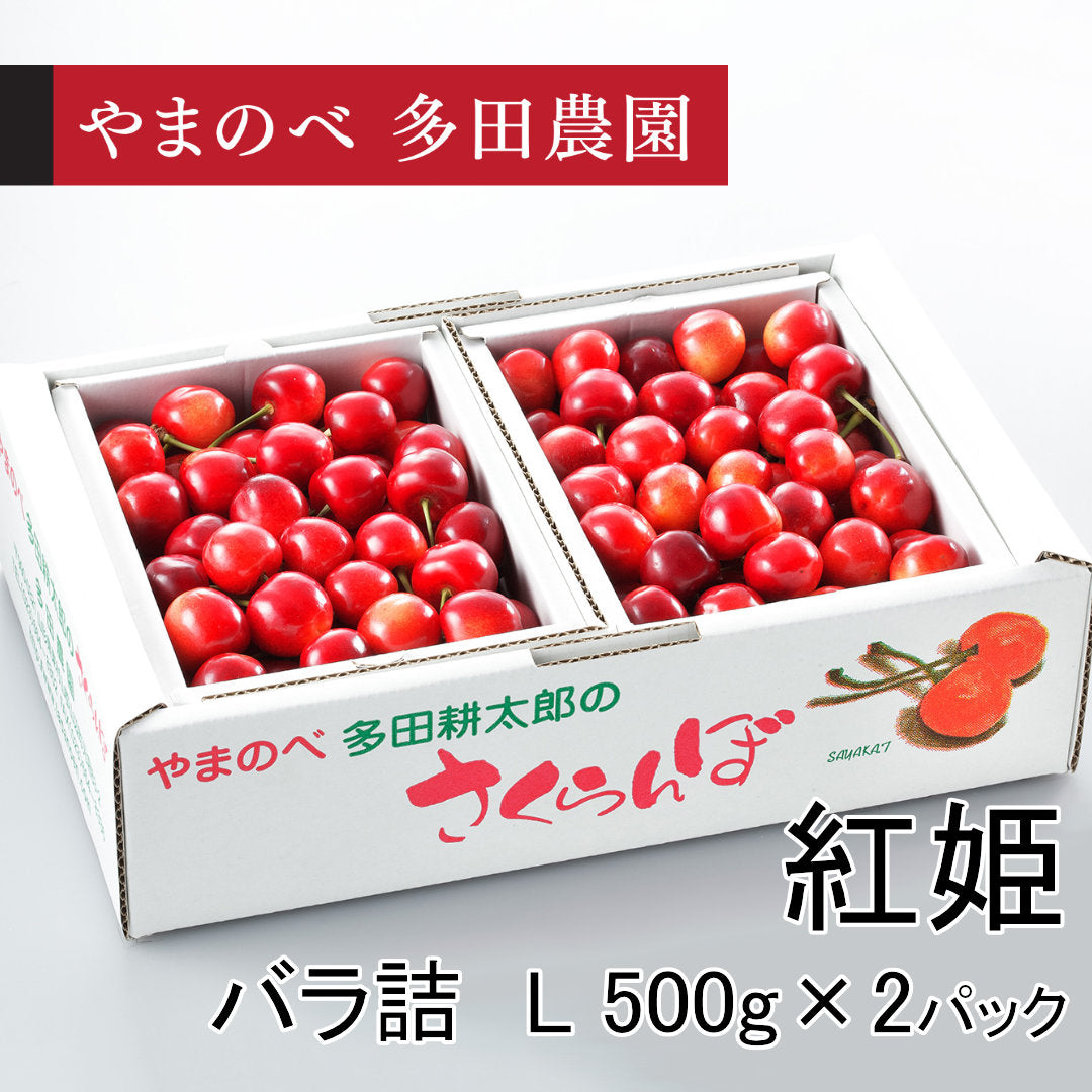 真夏のさくらんぼ「紅姫（べにひめ）」（Lサイズ バラ詰）500g×2パック　先行予約受付中【7月20日～8月10日のにお届け】