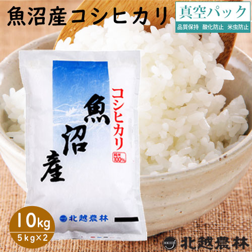 令和5年産 魚沼産コシヒカリ10kg（5kg×2袋）  真空パック 【米・野菜・惣菜】【送料無料】