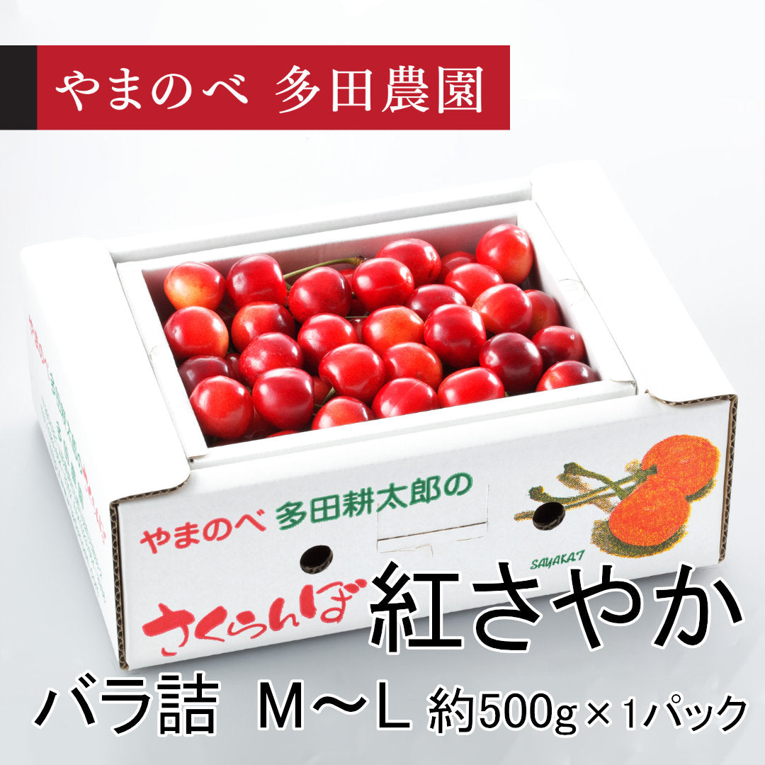 紅さやか（M～Lサイズ バラ詰）500gパック　先行予約受付中