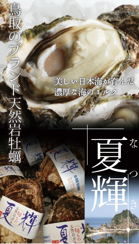 極上ブランド「夏輝」】【天然の岩牡蠣】 漁師が素潜りで獲った天然岩牡蠣「夏輝」帯付 3個セット | 47CLUB –  名産・特産品・ご当地グルメのお取り寄せ・通販・贈答は47CLUB