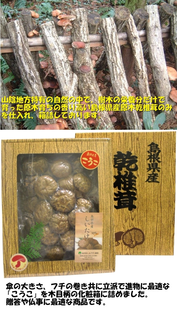 –　260g　島根県産原木乾椎茸こうこ　47CLUB　【贈答・乾ししいたけ・彼岸】　名産・特産品・ご当地グルメのお取り寄せ・通販・贈答は47CLUB　–　名産・特産品・ご当地グルメのお取り寄せ・通販・贈答は47CLUB