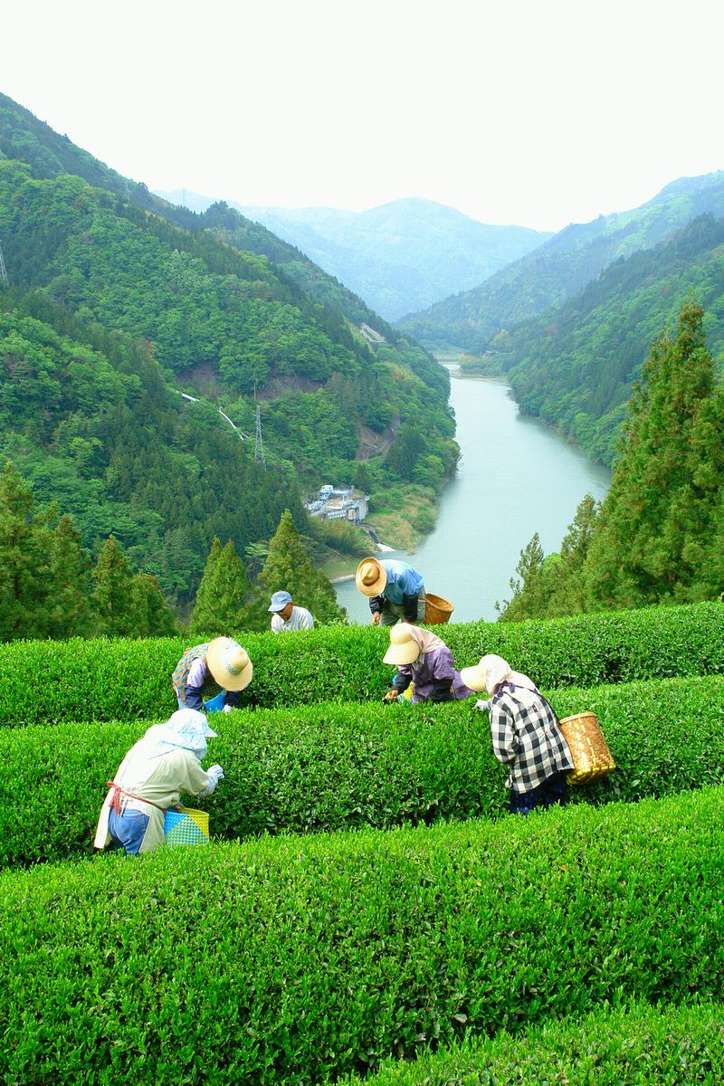 天龍村の風景