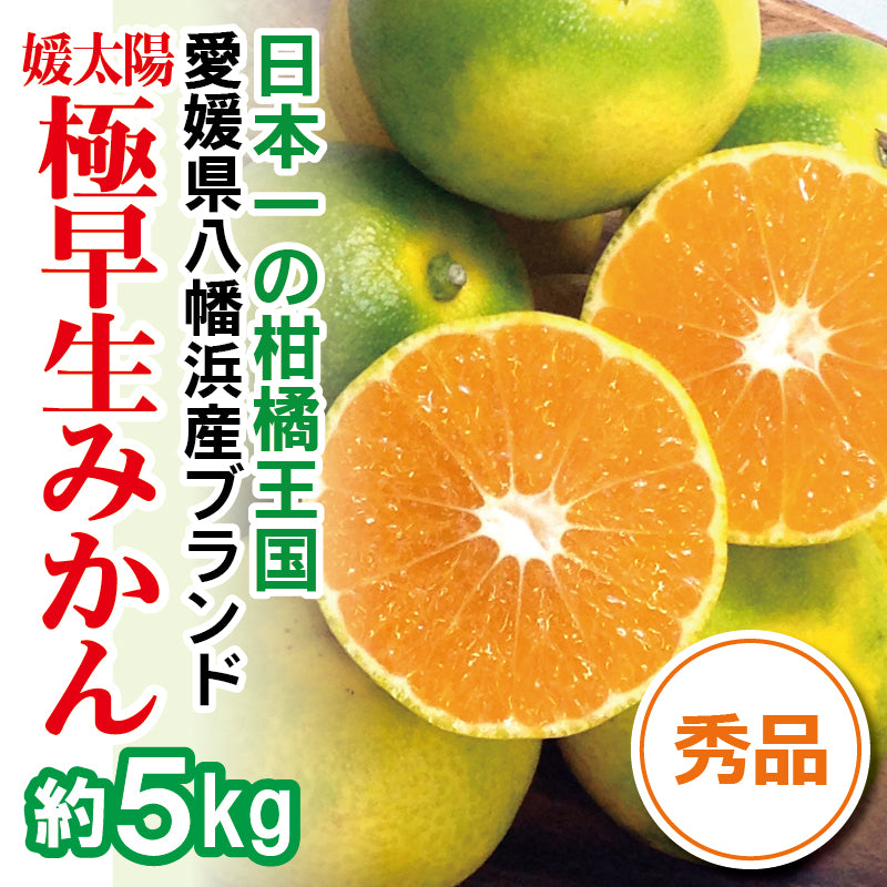 【2024年8月頃予約開始予定】農家直送！愛媛県産 極早生みかん〈秀品〉約５kg