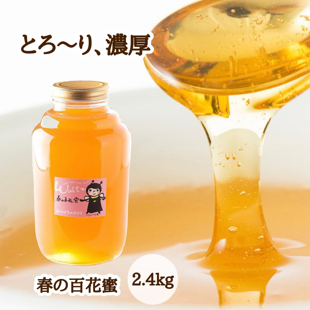 【５月中旬頃～発送開始】　はちみつ　令和6年度産　新蜜　とろ～り、濃厚　「春の百花蜜」 愛媛県産　松山中島産純粋ハチミツ　春の百花蜜　2.4kg