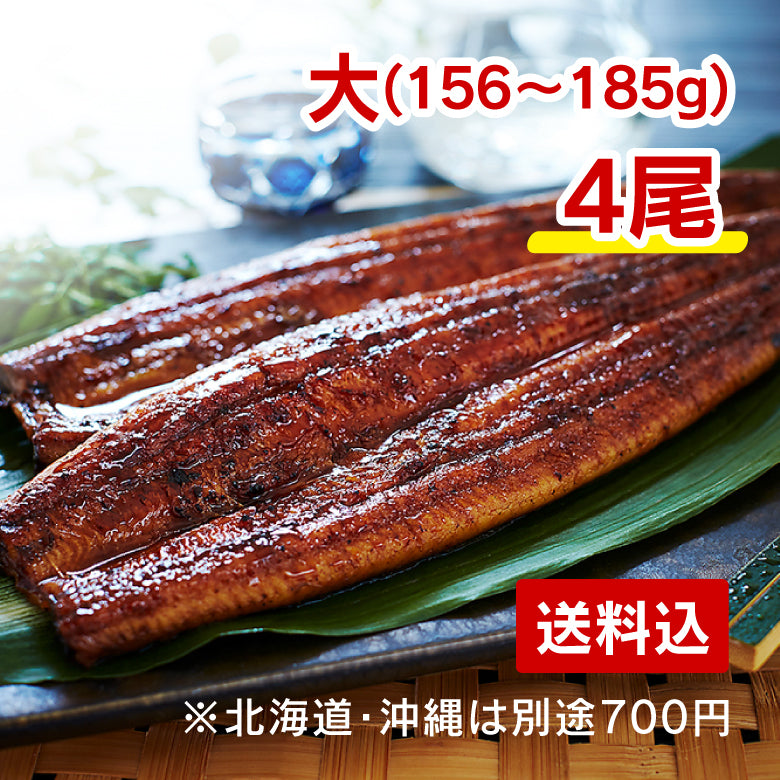 鹿児島県産うなぎ蒲焼　大４尾（送料込み）