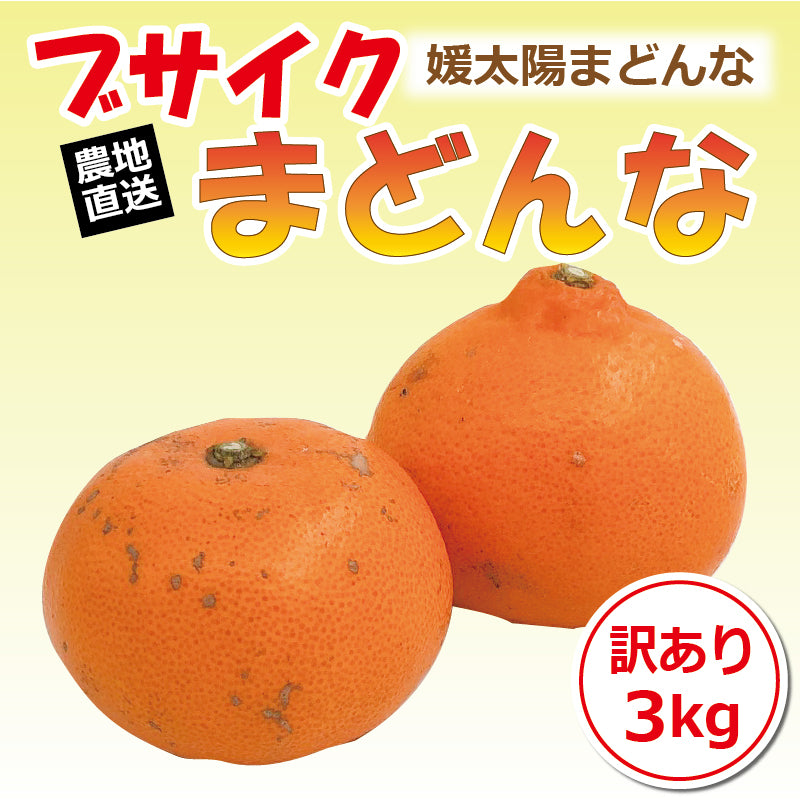 【2024年9月頃予約開始予定】媛太陽まどんな＜家庭用・訳あり＞　ちょっとブサイクまどんな　約3kg　【送料無料】