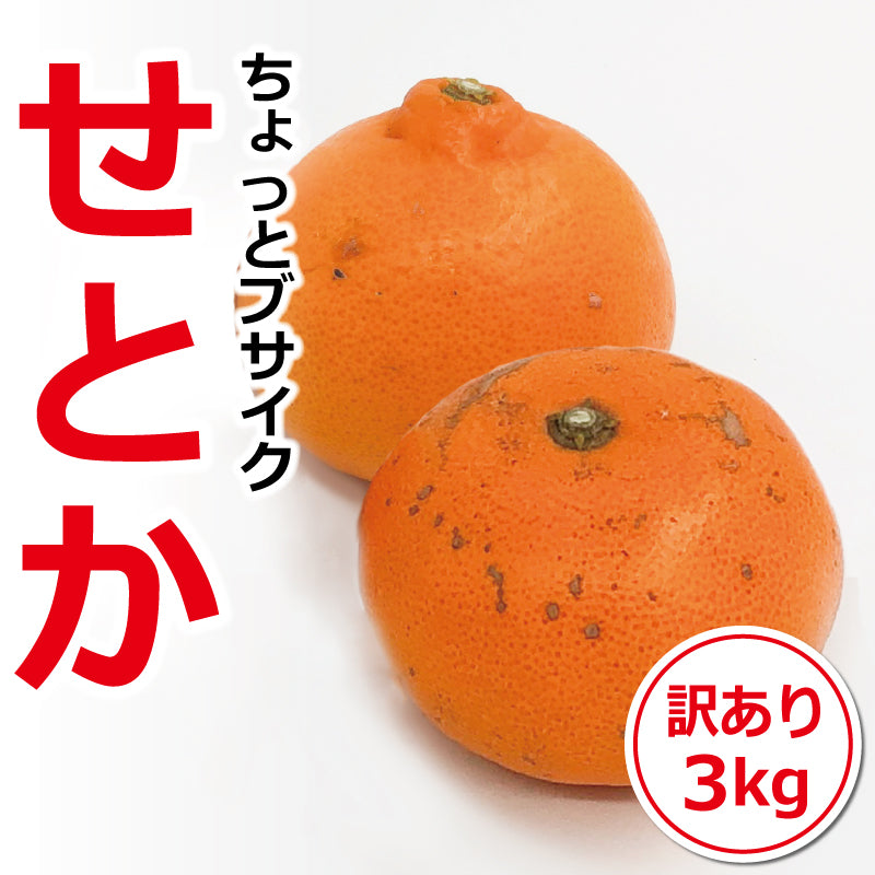 【2024年12月頃予約開始予定】せとか＜訳あり＞ちょっとブサイクせとか　約３kg【送料無料】