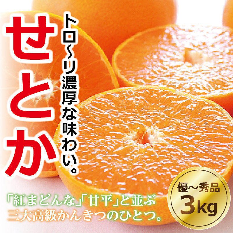 【2024年12月頃予約開始予定】高級ブランドかんきつ　せとか＜優～秀品＞約３kg【送料無料】