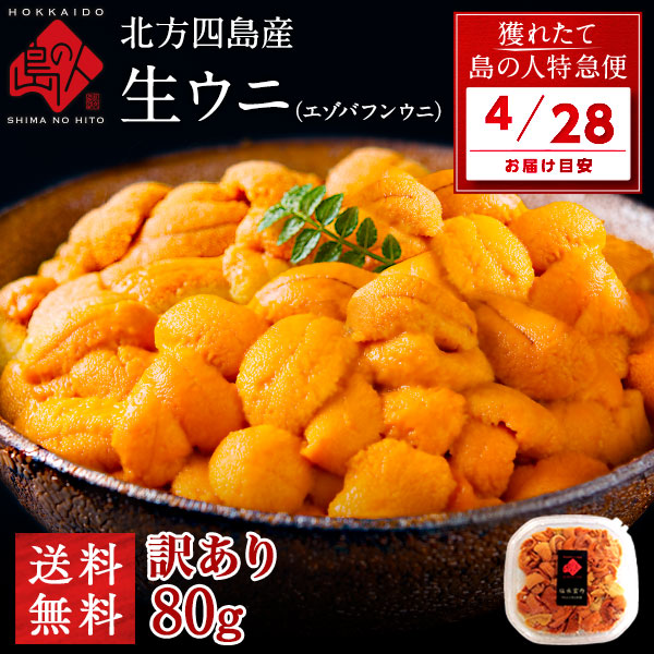 【4月28日お届け】うに 北方四島産 天然生エゾバフンウニ 80g 【色が赤い訳あり品】【送料無料】