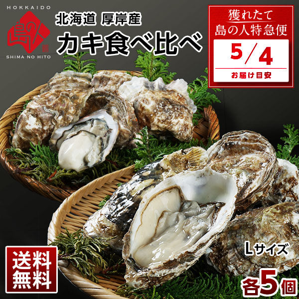 【5月4日お届け】北海道 厚岸産 牡蠣 (カキえもん＆まるえもん) 殻付き 10個(各Lサイズ5個) 食べ比べセット 殻むきナイフ付