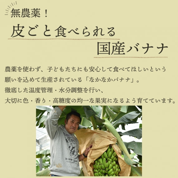 産地直送］長崎県島原産 なかなかバナナ1kg（冷凍・段ボール入 