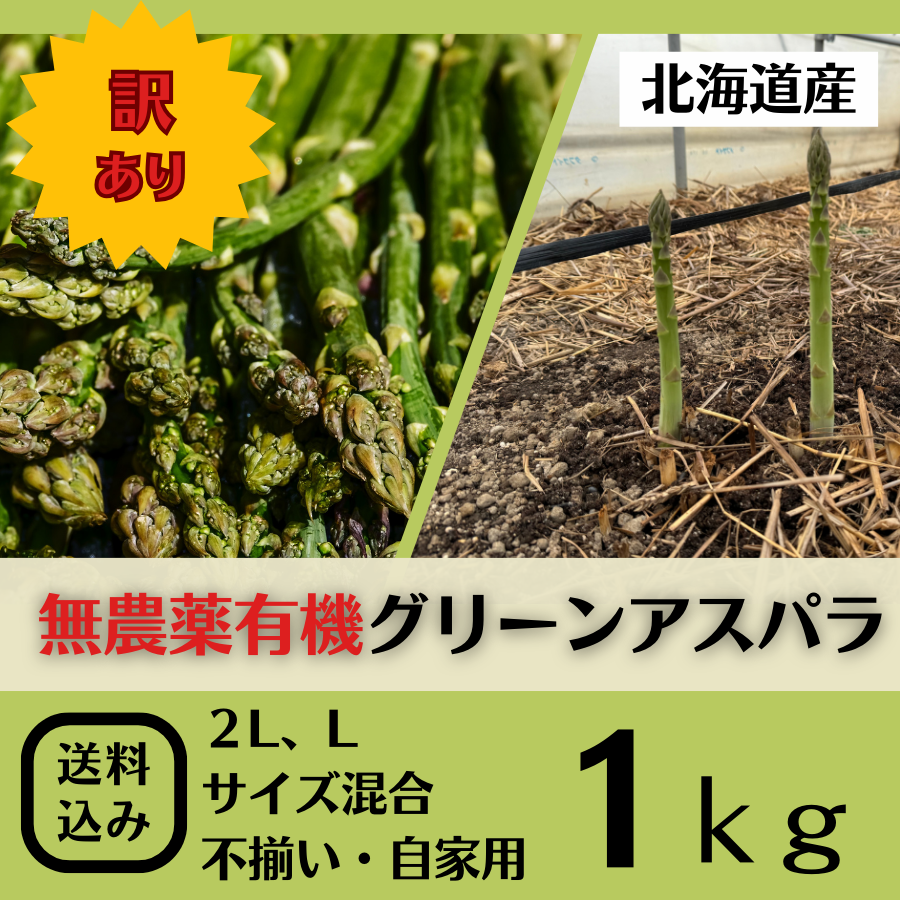 【訳あり】北海道の春の味！春の恵で栄養たっぷりアスパラ1Kg（送料込み）