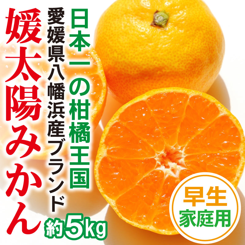 【2024年9月頃予約開始予定】愛媛県産・温州みかん(早生)〈家庭用〉約5kg　農地直送のブランドかんきつ・媛太陽みかん　※発送時期：11月中旬～