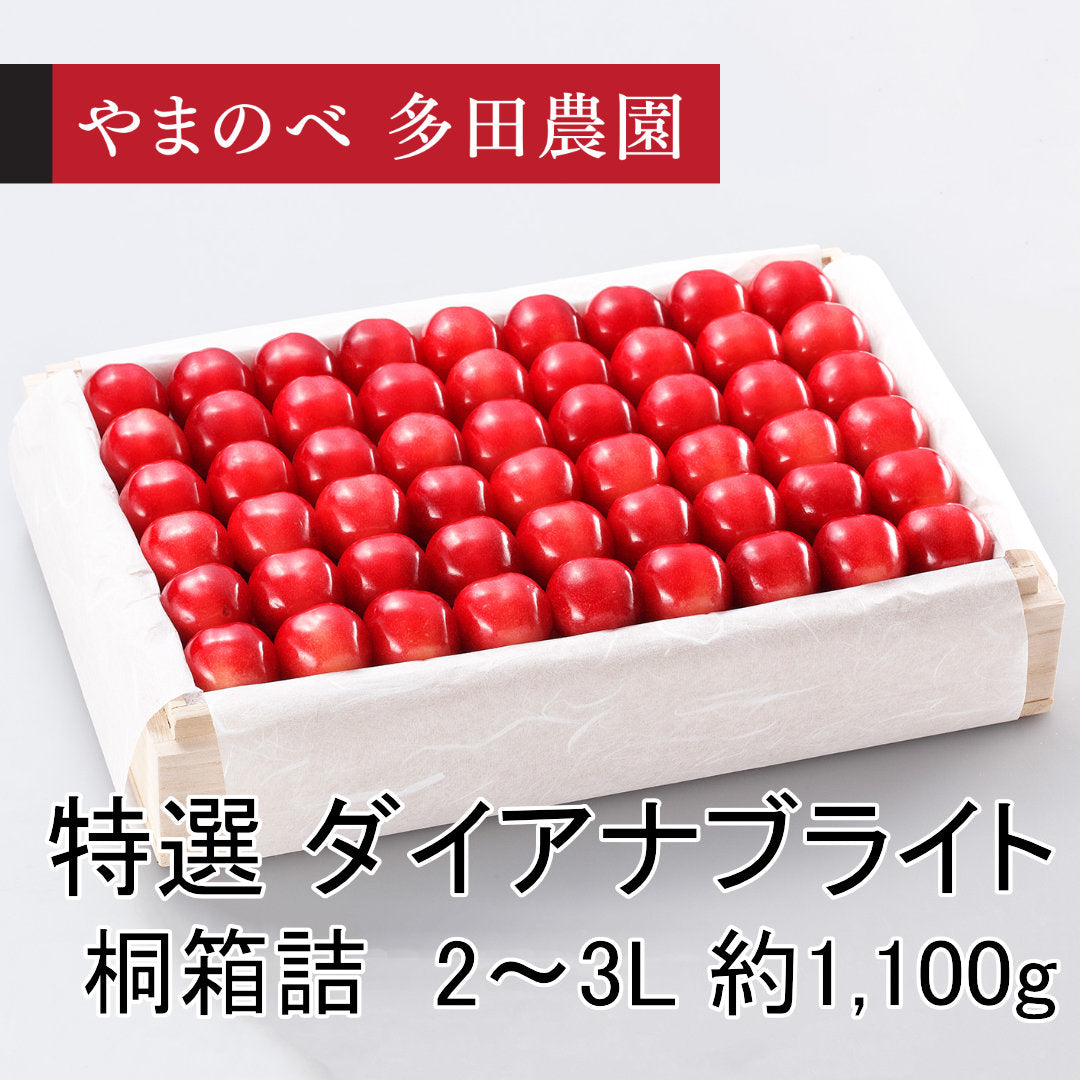 特選　ダイアナブライト（2～3Lサイズ 桐箱詰）約1,100g　先行予約受付中