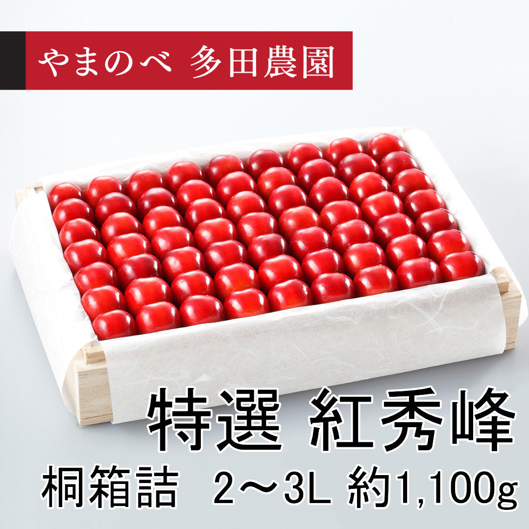 特選　紅秀峰（2L～3Lサイズ 桐箱詰）約1,100g　先行予約受付中