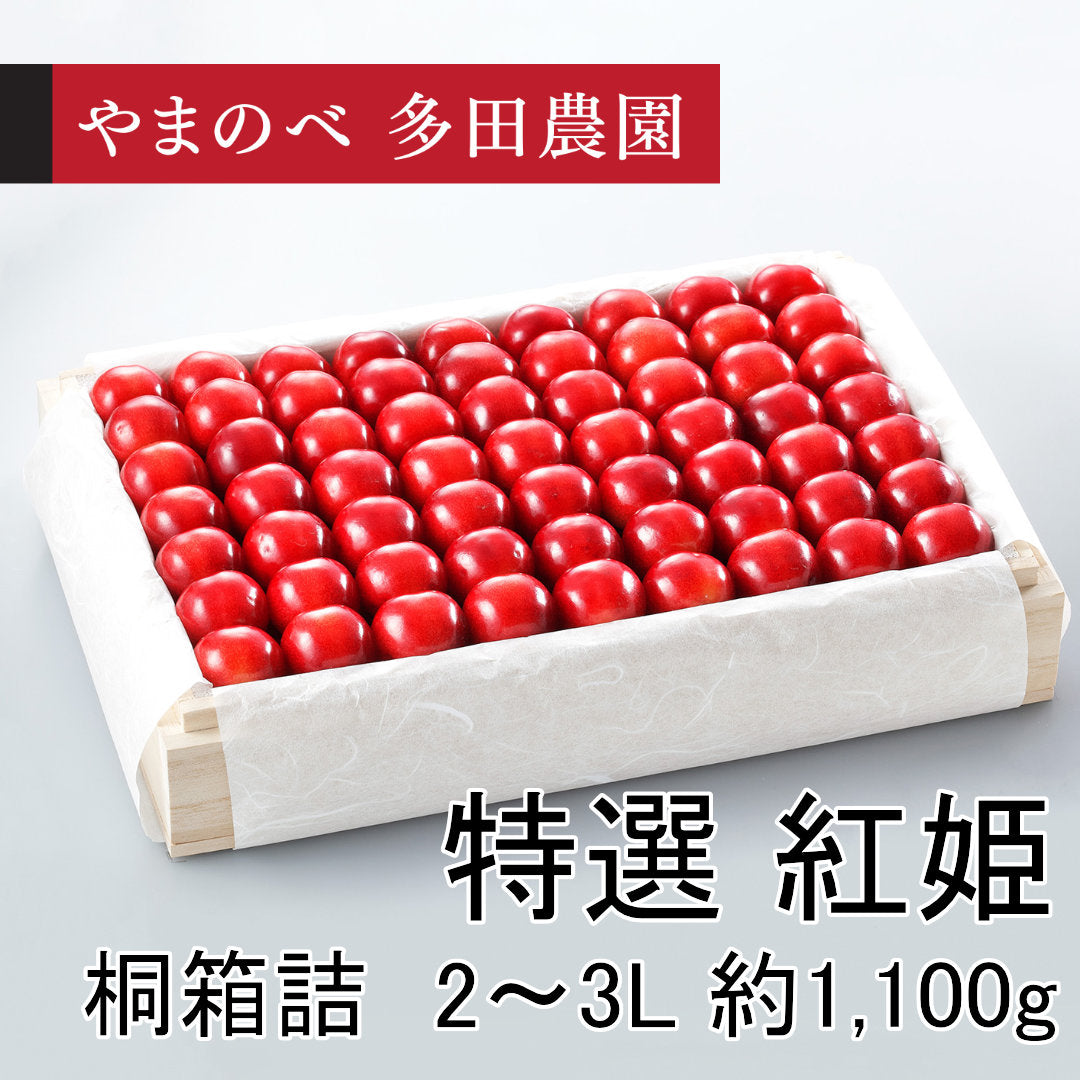 真夏のさくらんぼ「紅姫（べにひめ）」（2L～3Lサイズ 桐箱詰）約1,100g　先行予約受付中【7月20日～8月10日にお届け】