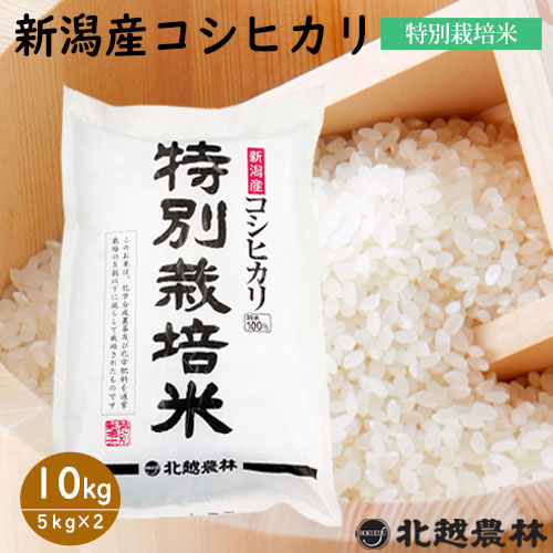 令和5年産 新潟産コシヒカリ特別栽培米10kg（5㎏×2袋） 【米・野菜・惣菜】【送料無料】