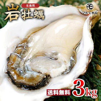 殻付き岩牡蠣(生食用) 3kg 1個130～180g