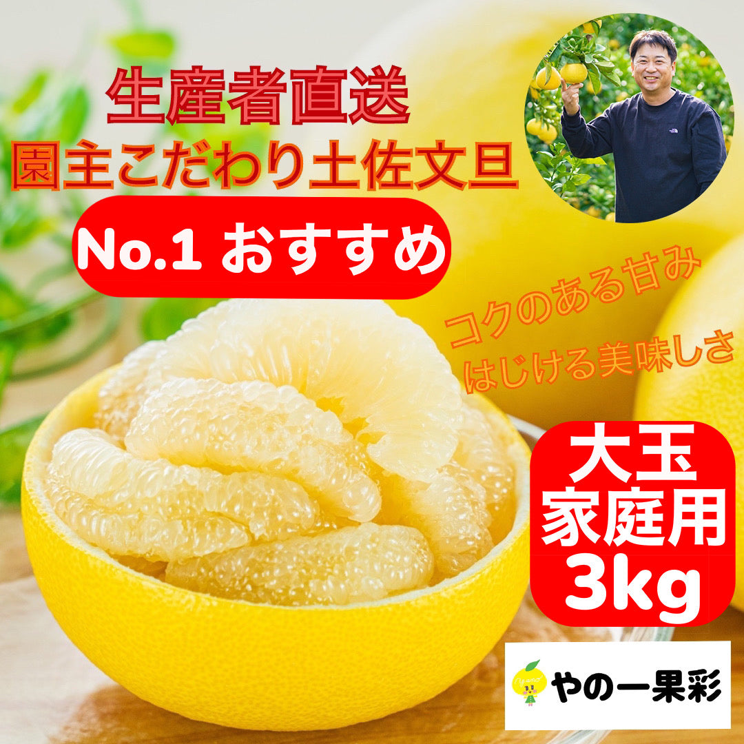 名産・特産品・ご当地グルメのお取り寄せ・通販・　47CLUB　–　新発売】【No.1おすすめ】厳選　園主こだわり土佐文旦3kg大玉【家庭用】送料込み　名産・特産品・ご当地グルメのお取り寄せ・通販・贈答は47CLUB　贈答は47CLUB　–