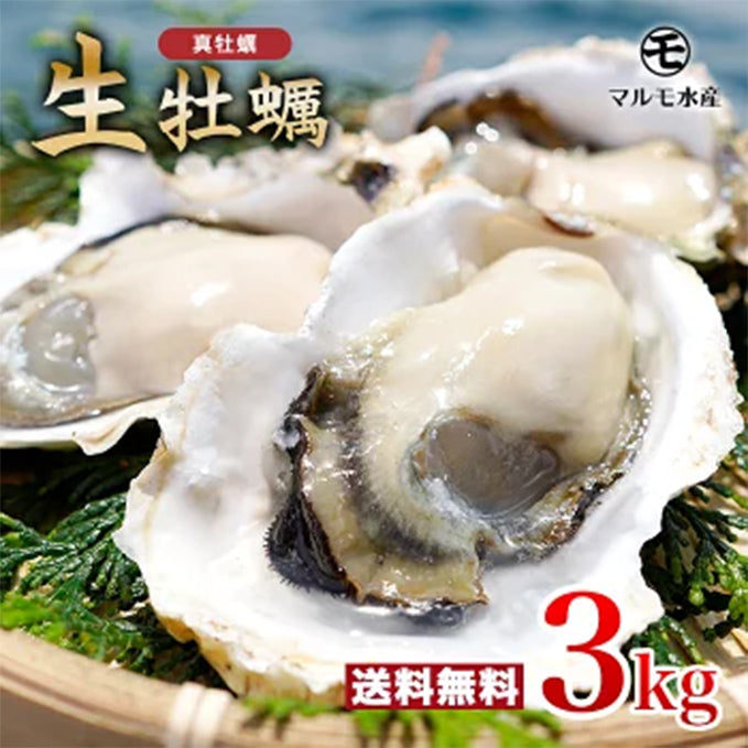 殻付き真牡蠣(生食用) 3kg