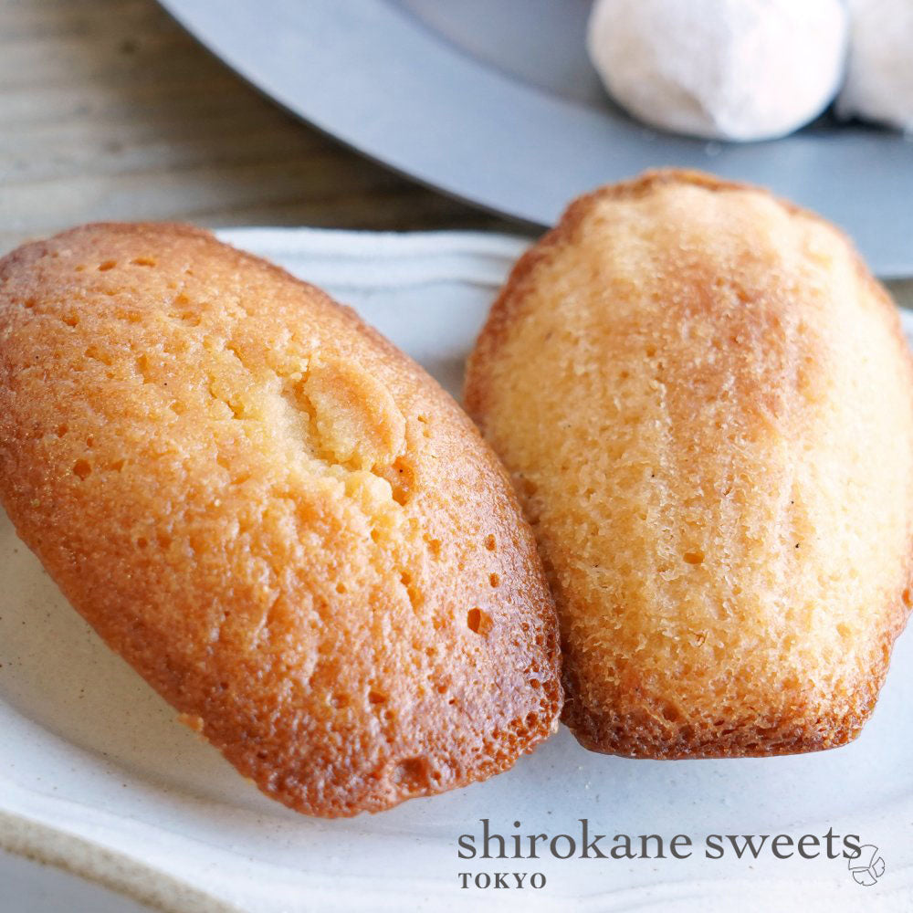 【送料無料、ポスト投函】shirokane sweet TOKYO　白金マドレーヌ