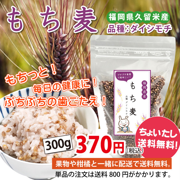 【他の商品にちょい足しで送料無料】豊富な食物繊維！！プチプチの食感！もち麦（300ｇ）＜福岡県産＞