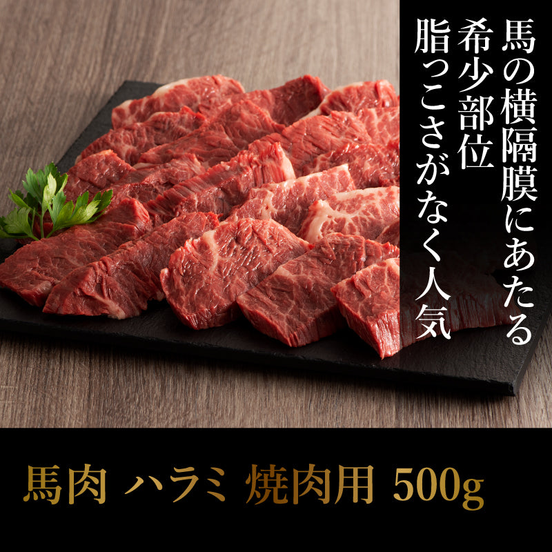 【加熱用】馬肉 ハラミ 焼肉用 500g 3～4人前【賞味期限冷凍30日】【精肉・肉加工品】