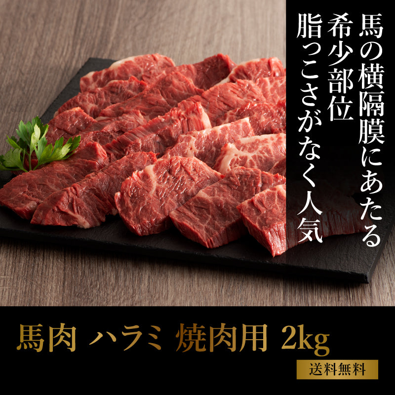 【加熱用】馬肉 ハラミ 焼肉用 2kg（500g×4） 13～14人前【送料無料】【賞味期限冷凍30日】【精肉・肉加工品】