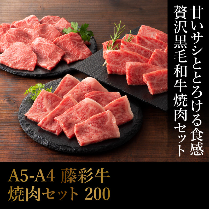 A5-A4 藤彩牛 焼肉セット 200 3人前【賞味期限冷凍30日】【精肉・肉加工品】