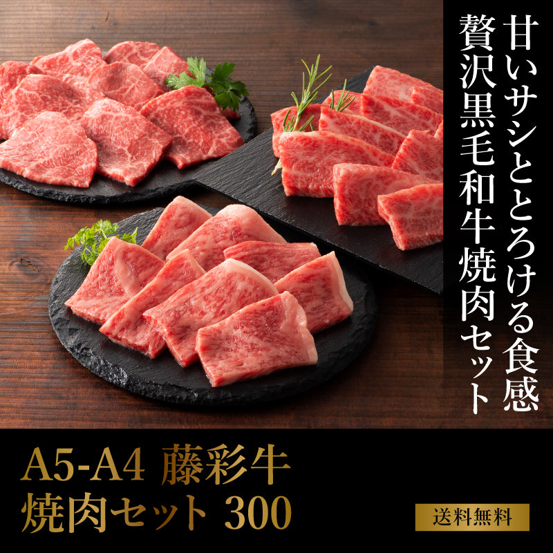 A5-A4 藤彩牛 焼肉セット 300g 6人前【送料無料】【賞味期限冷凍30日】【精肉・肉加工品】