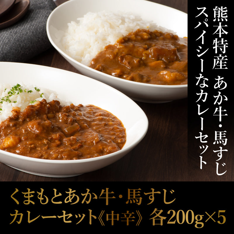 くまもとあか牛・馬すじカレーセット 各200g×5【賞味期限常温で製造日より1年】【精肉・肉加工品】