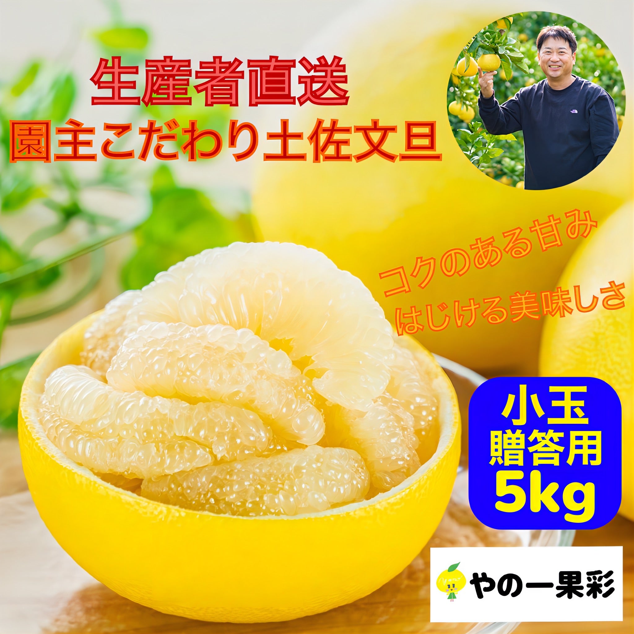 【新発売】厳選 園主こだわり土佐文旦5kg小玉【贈答用】送料無料