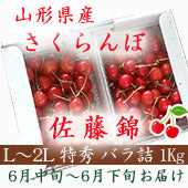 2024年ご予約受付中【6月中旬～6月下旬ごろお届け】 山形産 さくらんぼ 佐藤錦 L～2L 特秀 バラ詰め 1kg