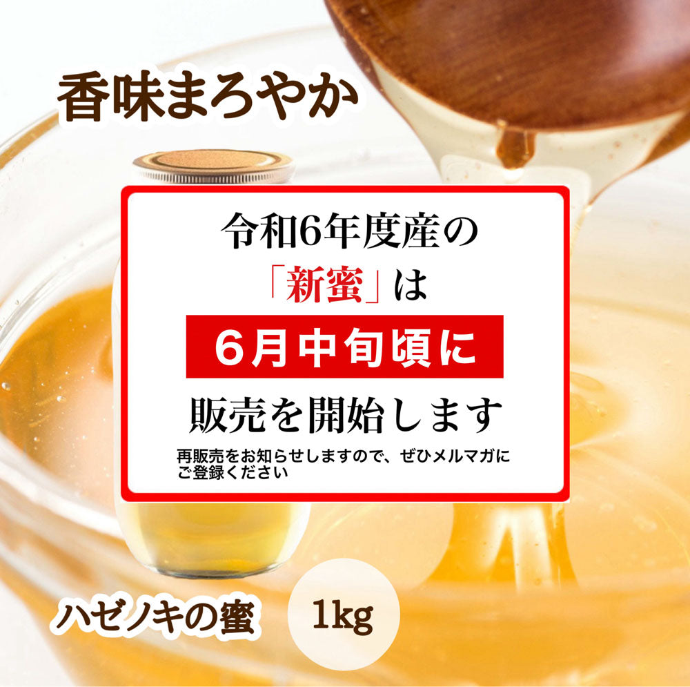 はちみつ　令和5年度産　新蜜　香味まろやか　「ハゼノキの蜜」 愛媛県産　松山中島産純粋ハチミツ　ハゼノキの蜜　1kｇ