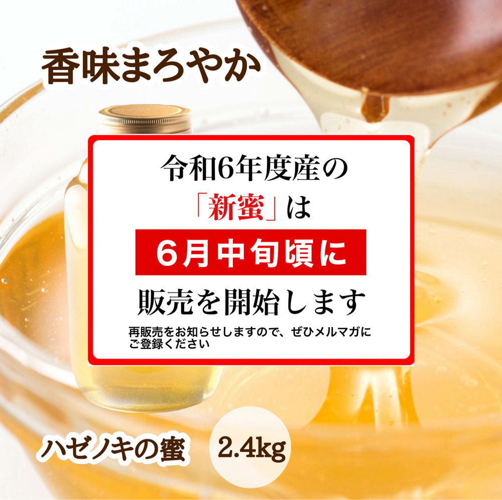 はちみつ　令和5年度産　新蜜　香味まろやか　「ハゼノキの蜜」 愛媛県産　松山中島産純粋ハチミツ　ハゼノキの蜜　2.4kg