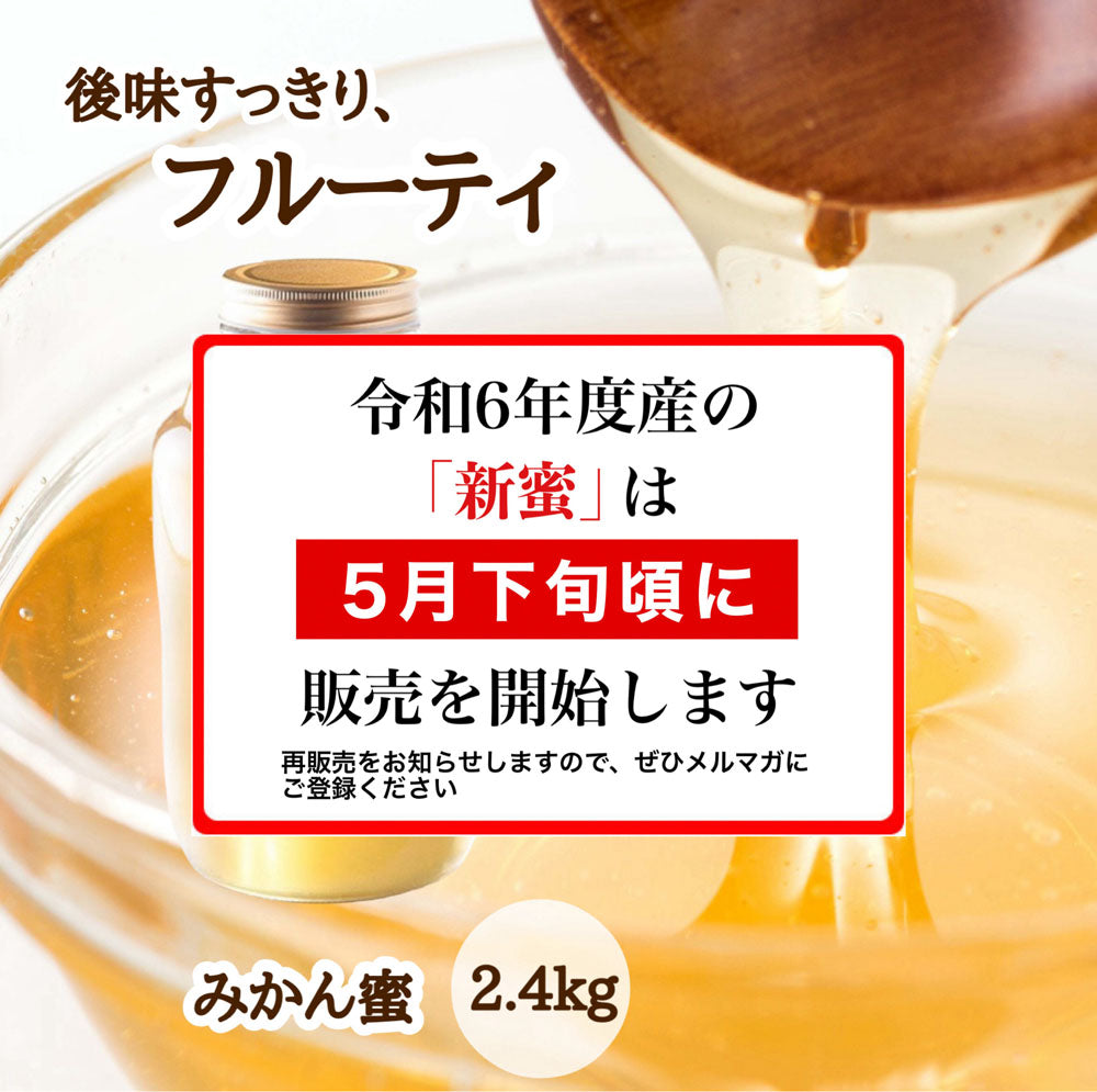 はちみつ　令和5年度産　新蜜　後味すっきり、フルーティ　「みかん蜜」 愛媛県産　松山中島産純粋ハチミツ　みかん蜜　2.4kg