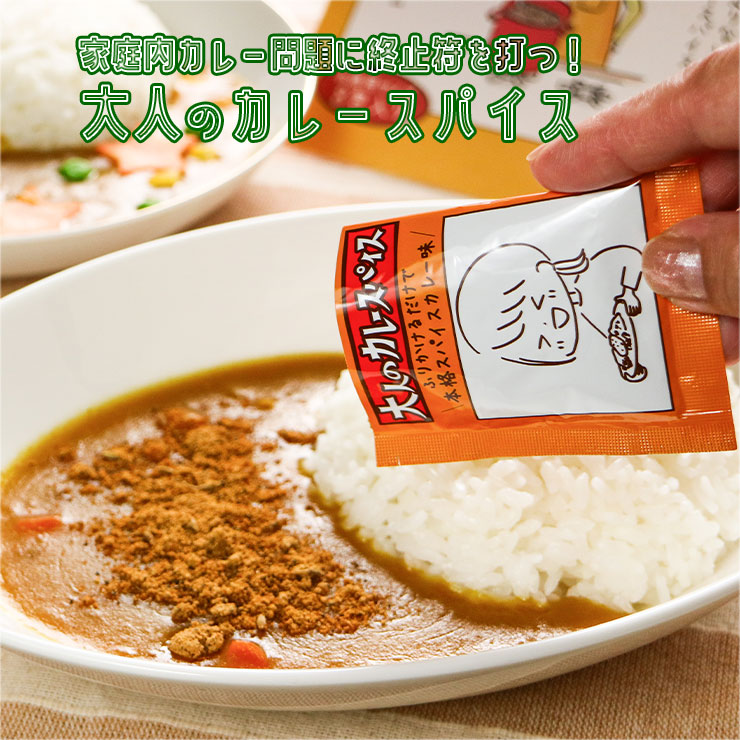 大人のカレースパイス 4g×16袋 送料無料  カレー 本格 スパイス 20種 無添加 スパイスカレー 味変 フード 香辛料 調味料 ハーブ カレー粉 レトルト カレーパウダー 辛口 時短 本格 アレンジ コク 香り 美味 甘口カレー ちょい足しスパイス ちょい足し調味料 ミックススパイス