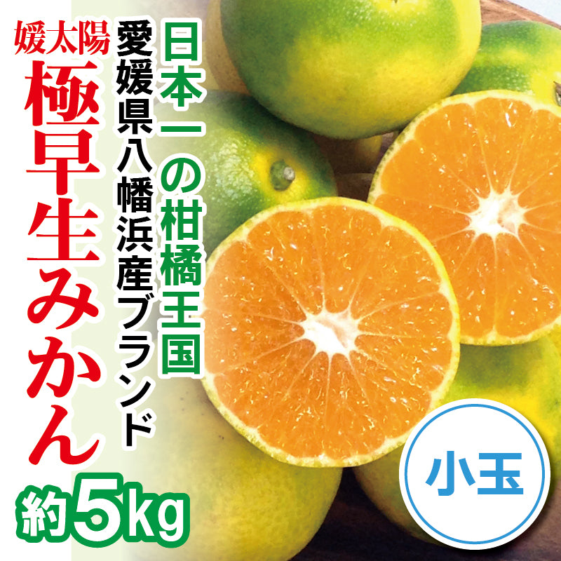 【2024年8月頃予約開始予定】農家直送！愛媛県産 極早生みかん〈家庭用・小玉〉約５kg